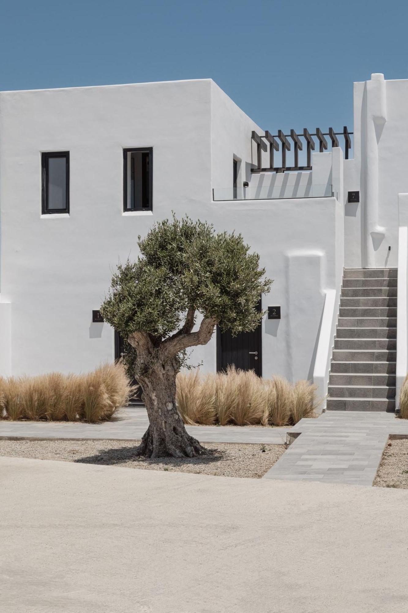 Mykonos Town Laguna Suites In Mazera Mykonos מראה חיצוני תמונה